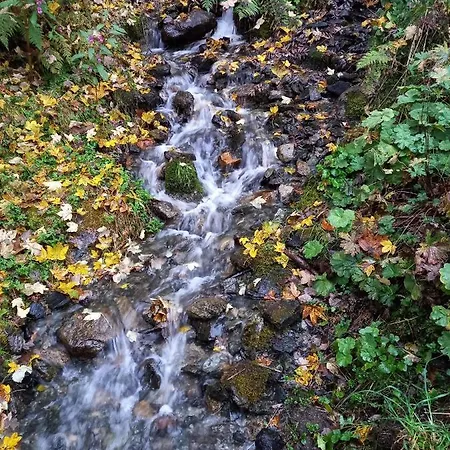 Angelika Apartment Gaschurn